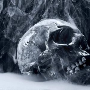 Meet your Posher, Spencer